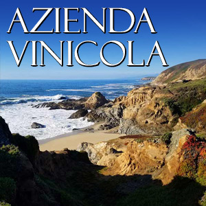 Azienda Vinicola